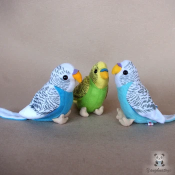 Moale Budgies Papusa Jucării De Pluș Drăguț Viața Reală Papagal Împăiat Animale Păsări Păpuși Prezent