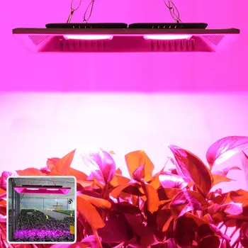 COB Led-uri Cresc de Lumină întregul Spectru 50W 100W 150Waterproof pentru Legume, Flori de Interior cu efect de Seră Hidroponică a Plantelor de Iluminat Lampa