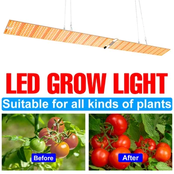 LED Phytolamp Spectru Complet Crească cu efect de Seră de Plante Lampa de Interior Flori Semințe Sistem Hidroponic a CONDUS Creștere Bec Crească Cutie SMD2835