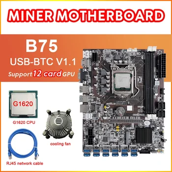 B75 12 Card BTC Mining Placa de baza+G1620 PROCESOR+Ventilator de Răcire+Cablul de Rețea RJ45 12XUSB3.0(PCIE) Slot LGA1155 memorie RAM DDR3 MSATA