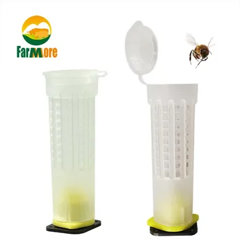 5 Set Matca Creștere Ceașcă De Protecție Cușcă De Protecție De Albine A Larvelor De Celule Cupa Instrument Apicultura Consumabile Echipamente Apicole